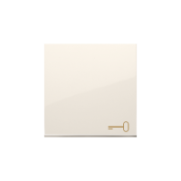 Klawisz pojedynczy z piktogramem klucza do łączników/przycisków, kremowy DKWK1/41 Simon 54 | DKWK1/41 Kontakt Simon