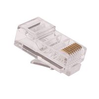 Wtyk RJ45 kat. 5e UTP, na kabel okrągły (100szt) | CCAS-RJ5E-UTP C C Partners