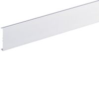 Pokrywa kanału 80mm anodyzowana, aluminium Tehalit.BRAP (2m) | BRAP0802ELN Hager