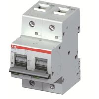 Wyłącznik nadprądowy 2P D 63A 16kA, S802B-D63 | 2CCS812001R0631 ABB
