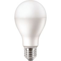 Lampa LED PILA  120W 1900lm A67 E27 WW 2700K FR ND 1CT/6  matowa | 929002062231 Philips