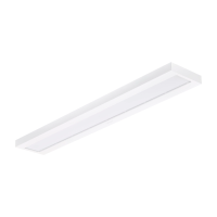 Oprawa ścienna/sufitowa SM060C LED 40S/840 PSU W20L120 NOC | 911401842480 Philips