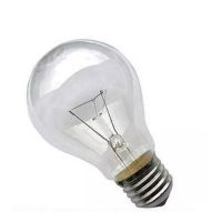 Żarówka wstrząsoodporna 25W E27 220-240V przezroczysta Spectrum | WOJ80609 Wojnarowscy