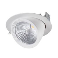 Oprawa downlight LED HIMA 33W 3670lm 4000K NW W regulowany biały | 22843 Kanlux