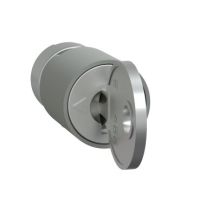 Wkładka z kluczem nr 455 PrismaSet | LVS07941 Schneider Electric