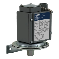 Presostat NEMA 0,97 BAR, Z SPDT | 9016GAW1 Telemecanique Sensors
