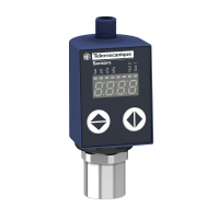 Czujnik ciśnienia 25 BAR 24V 2 NPN WY | XMLR025G2N06 Telemecanique Sensors