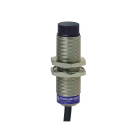 Czujnik indukcyjny M18 12 48V | XS618B4PBL2 Telemecanique Sensors