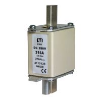 Wkładka bezpiecznikowa (topikowa) NH00 315A 250V DC | 004110134 Eti