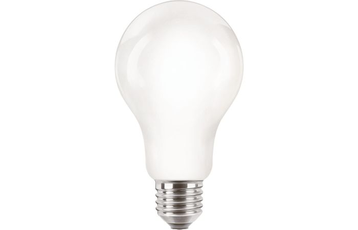 Lampa LED classic 120W 2000lm A67 E27 WW 2700K FR NDRFSRT4 matowa | 929002371801 Philips
