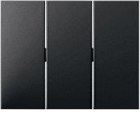 Klawisze do łącznika 3-klawiszowego, antracyt mat, lakierowany, K.1 | 14657006 Hager