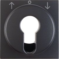 Płytka czołowa do łącznika żaluzjowego na klucz, antracyt mat, B.x | 15061606 Hager