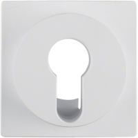 Płytka czołowa do łącznika na klucz, biały, S.1/B.3/B.7 | 15071909 Hager