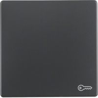 Klawisz z nadrukiem symbolu "klucz" do łącznika 1-klawiszowego, antracyt, aksamit, Q.x | 16206066 Hager