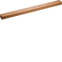 Szyna Cu 20x10mm 1-polowa, Univers | UM21B Hager