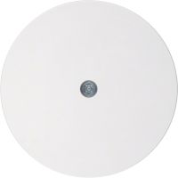 R.x Płytka czołowa do przyłączy kablowych, biały połysk | 10192089 Hager