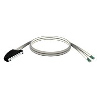 Kabel 40 żył wtyczki dwuzłączowe dla M340 WE/WY , długość 3m | BMXFCW303 Schneider Electric