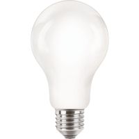 Lampa LED classic 120W 2000lm A67 E27 WW 2700K FR NDRFSRT4 matowa | 929002371801 Philips