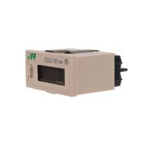 Licznik czasu pracy panelowy CLG-13T 24V | CLG-13T-24V F&F