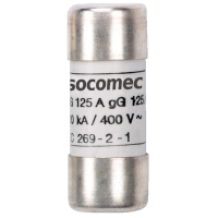 Wkładka topikowa 10x38 gG 16A (zwłoczna) | 60120016 Socomec