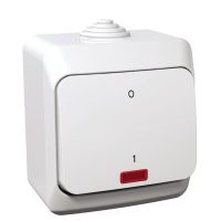 Łącznik 2-biegunowy z podświetleniem biały, Cedar Plus | WDE000521 Schneider Electric