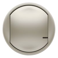 Plakietka do łącznika oświetlenia, tytanowa, Celiane with Netatmo | 064825 Legrand