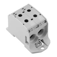 Złączka szynowa przelotowa WPD 231 2X95/2X95 GY      | 2502700000 Weidmuller