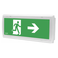 oprawa TIGER LED 1,2W 3h dwuzadaniowa PT opal | TL/1,2W/C/3/SA/PT/OP Awex