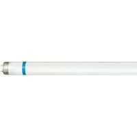 Świetlówka liniowa MASTER TL-D Secura 36W/840 G13 | 927921484076 Philips