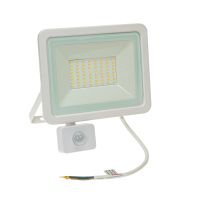 Naświetlacz NOCTIS LUX 2 50W WW 230V IP44 212x206x35mm biały czujnik ruchu PIR | SLI029044WW_CZUJNIK Wojnarowscy