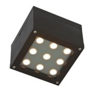 Oprawa BERENIQUE 9LED CREE 15st 230V 9W IP44 WW | SLI030002WW Wojnarowscy
