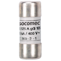 Wkładka topikowa 10x38 gG 2A (zwłoczna) | 60120002 Socomec