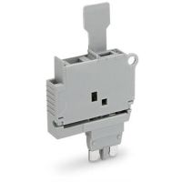 Wtyk bezpiecznikowy z uchwytem do aparatowej wkł. bezpiecz. 5x20mm ze wskaźnikiem świetlnym, szar | 2004-911/1000-541 Wago