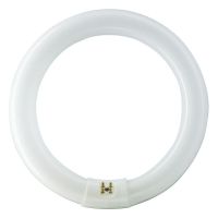 Świetlówka kołowa MASTER TL-E Circular 32W/865 G10Q | 928026386570 Philips
