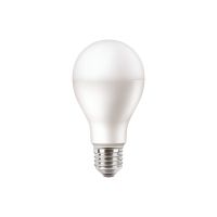Lampa LED PILA 120W 1900lm A67 E27 WW 2700K FR ND 1CT/6 matowa | 929002062231 Philips