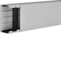 Kanał elektroinstalacyjny bezhalogenowy 60x110mm, jasnoszary, Tehalit.LFH | LFH6011007035 Hager