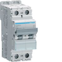 Wyłącznik nadprądowy 10kA 2P D 25A MCB | NDN225 Hager