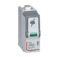 Wkład oranicznika T2 40 KA | 412299 Legrand