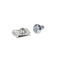 Komplet 100 wkrętów do mocowania osłon | 339702 Legrand