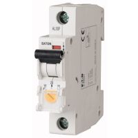 Wyłącznik taryfowy 1-bieg. 20-32A, Z-TS32/1 | 266853 Eaton
