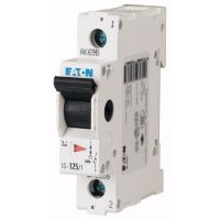 Rozłącznik główny izolacyjny 1P 100A, IS-100/1 | 276282 Eaton