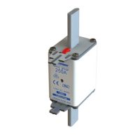 Wkładka NH02 224A 400V GL/GG podwójny wskaźnik 224NHG02B-400 | 224NHG02B-400 Eaton