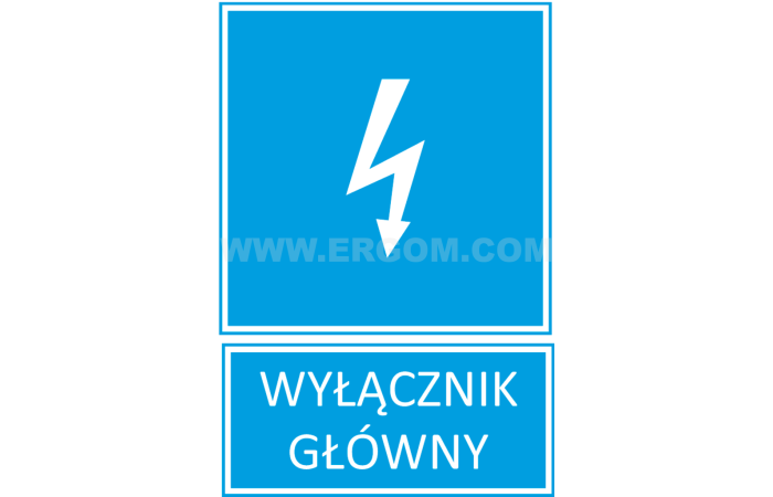 Tabliczka TZI 74X105S napis: Wyłącznik główny | E04TZ-01041120200 Ergom