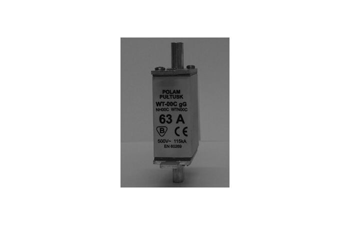 Wkładka topikowa przemysłowa bezpiecznikowa NH00C 40A gG 500V WT-00C (zwłoczna) $ | 004111434 Eti
