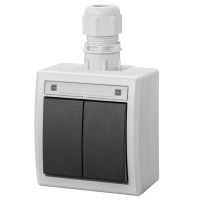 Łącznik natynkowy świecznikowy IP 65, szary 7035/7016, AQUANT 2K | 5002-65 Elektro-Plast Nasielsk