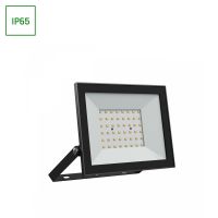 NOCTIS LUX 4 NAŚWIETLACZ 50W NW 230V IP65 176x137x25mm CZARNY | SLI029073NW_PW Wojnarowscy