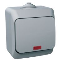 Cedar Plus, łącznik 1-biegunowy, IP44, szary | WDE000614 Schneider Electric