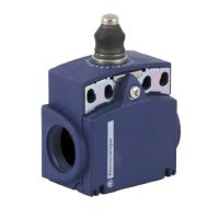 Łącznik krańcowy PL TRZPIEŃMETZ ELASTOMERE | XCKT2111G11 Telemecanique Sensors