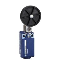 Łącznik krańcowy PL DUŻA ROL PL NA RAM | XCKP2539P16 Telemecanique Sensors