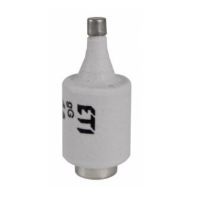 Wkładka topikowa 63A DIII gF BiWts 500V E33 (szybka) | 002313103 Eti